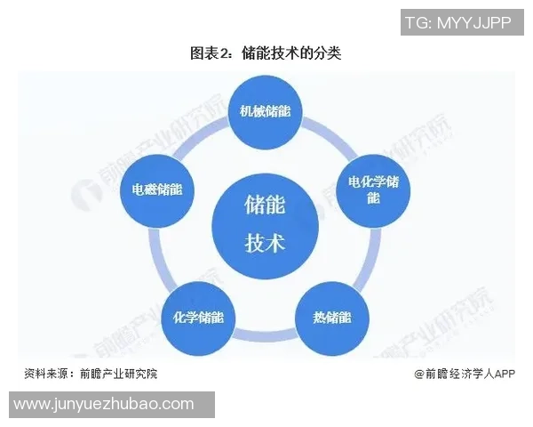 成都飞盘队防反战术创新探索与实践分析全景报告